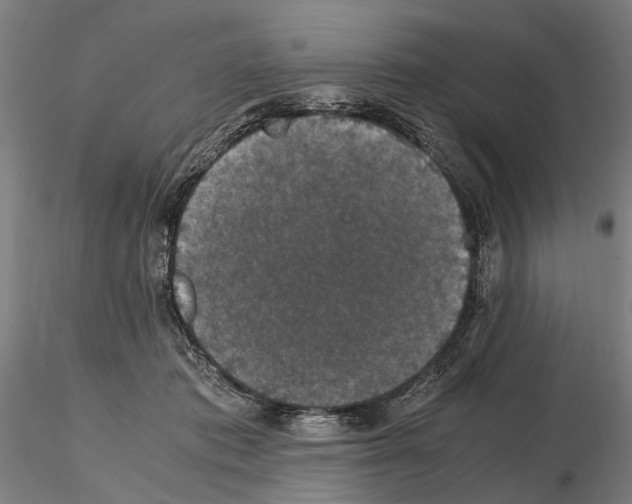 X0000114660413200912011140