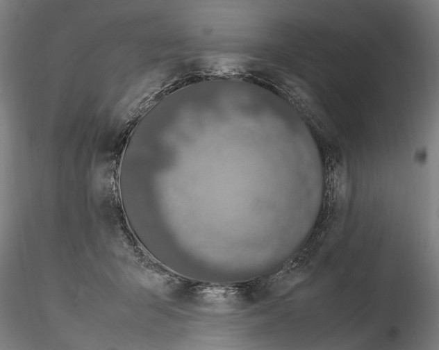 X0000114660415200912011140