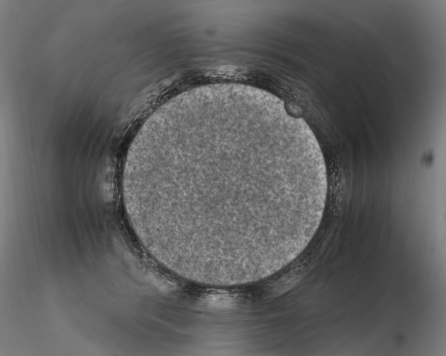 X0000114660416200912011140