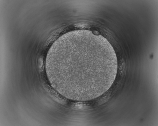 X0000114660420200912011140