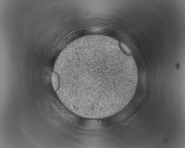 X0000114660421200912011140