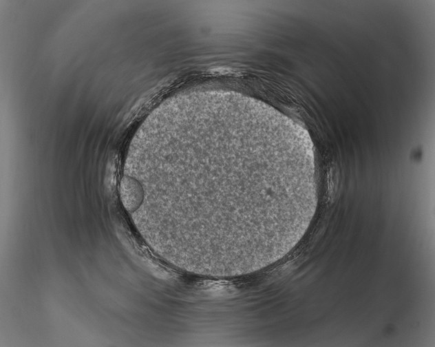 X0000114660424200912011140