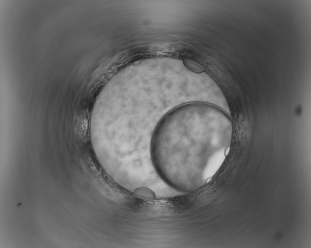 X0000114660427200912011140