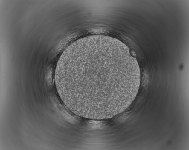 X0000114660428200912011140