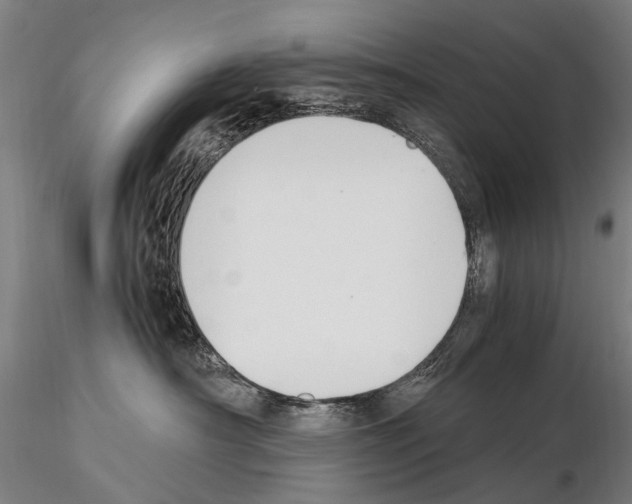 X0000114660430200912011140