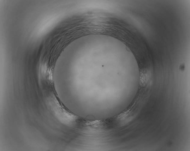 X0000114660431200912011140