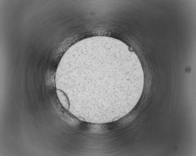 X0000114660432200912011140