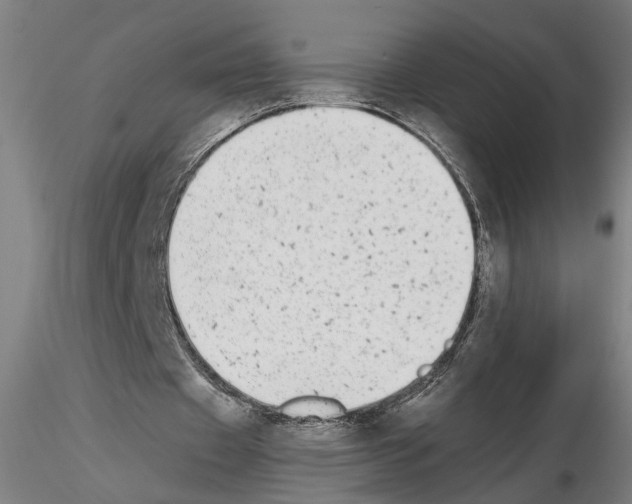 X0000114660433200912011139