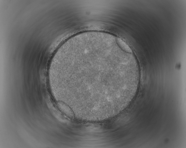 X0000114660434200912011139