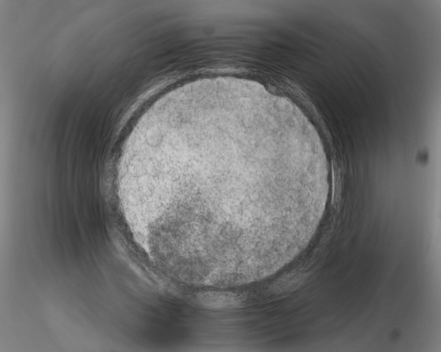 X0000114660435200912011139