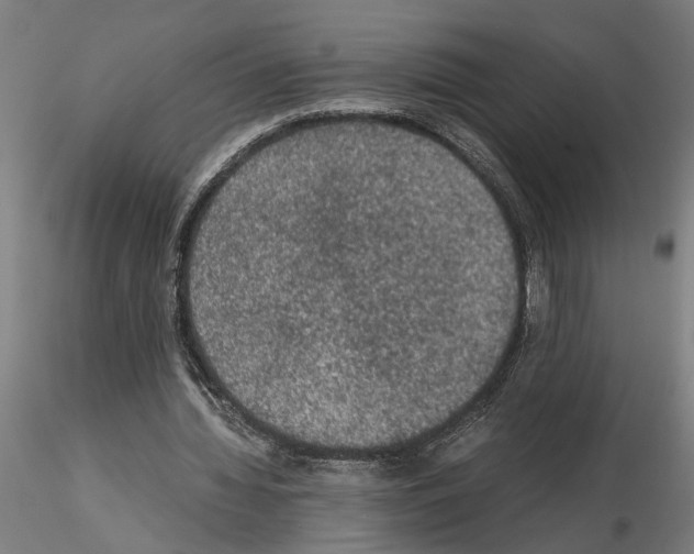 X0000114660436200912011139