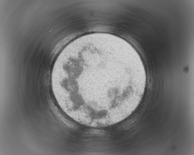 X0000114660437200912011139