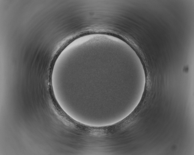 X0000114660438200912011139