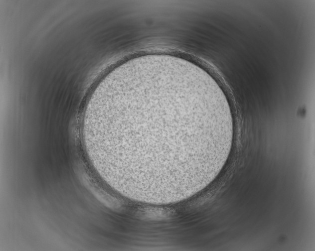 X0000114660439200912011139