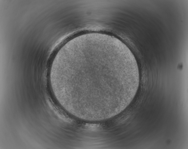 X0000114660440200912011139