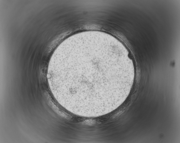 X0000114660441200912011139