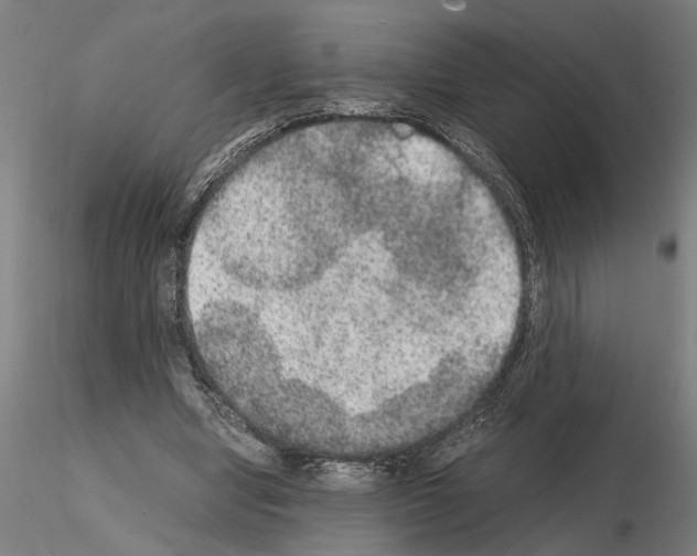 X0000114660442200912011139