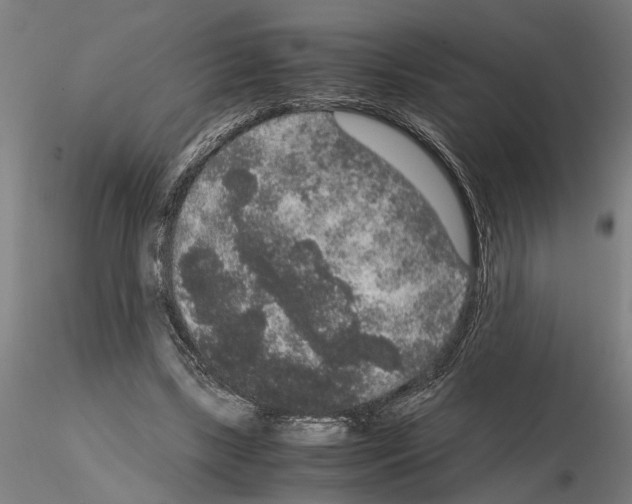 X0000114660443200912011139