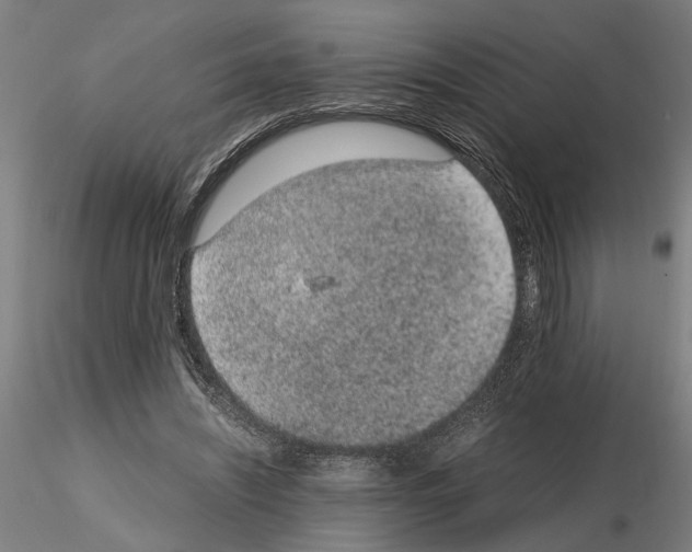 X0000114660444200912011139