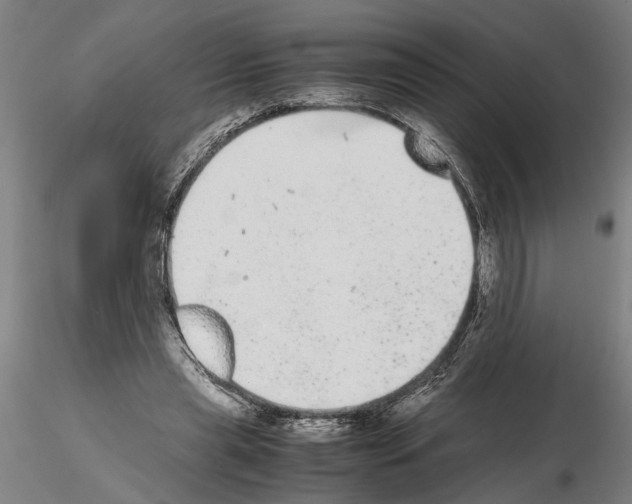 X0000114660445200912011139