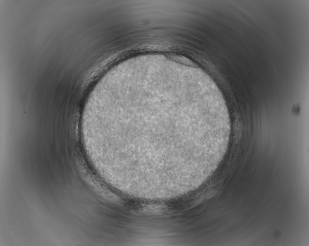 X0000114660446200912011139