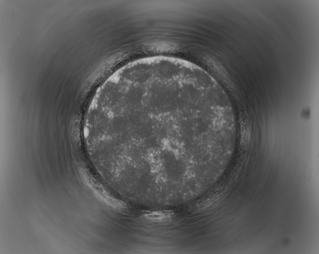 X0000114660447200912011139