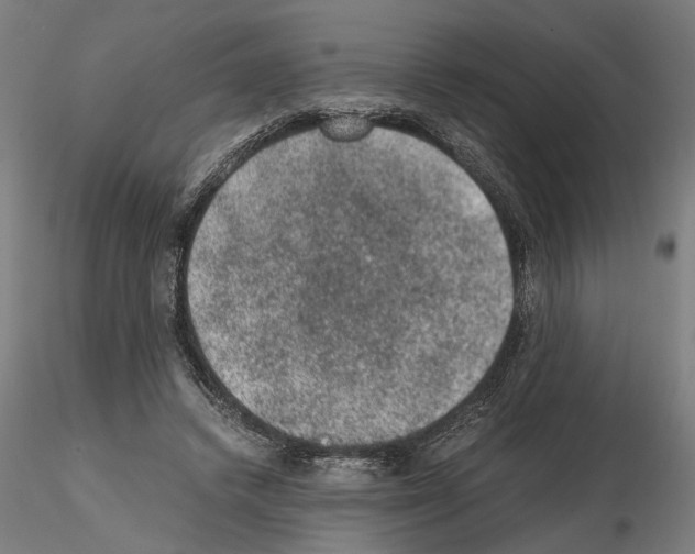 X0000114660448200912011139