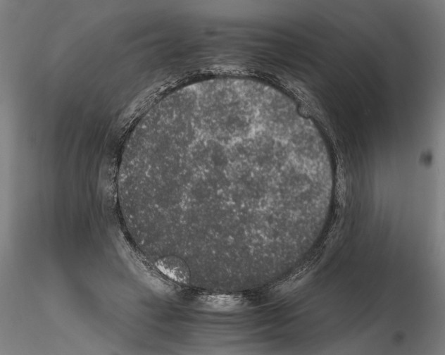 X0000114660449200912011139