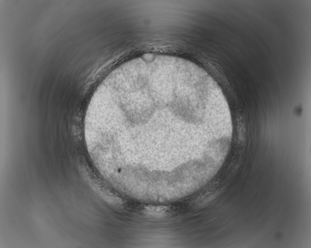 X0000114660450200912011139