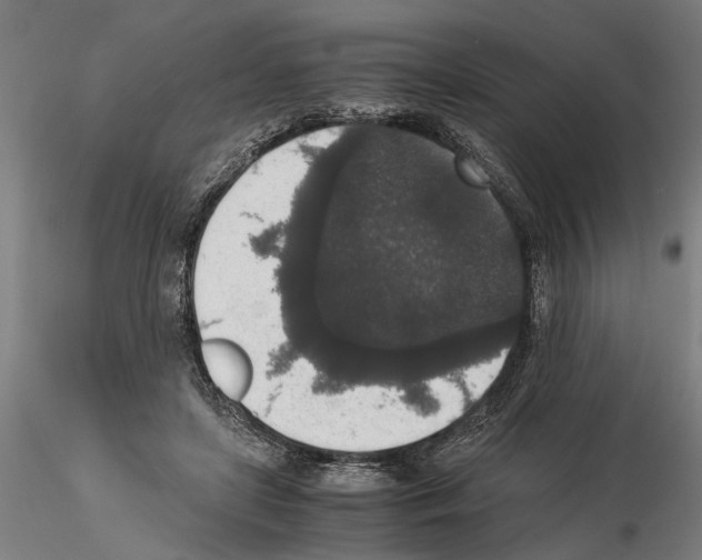 X0000114660451200912011139