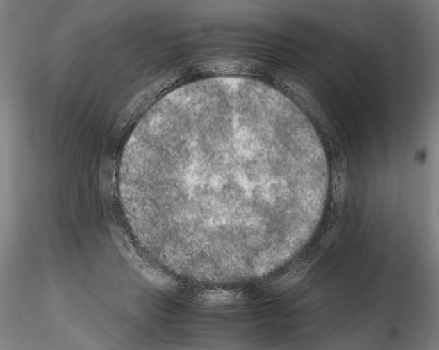 X0000114660453200912011139