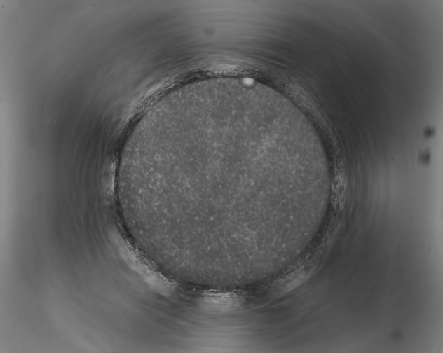 X0000114660454200912011139