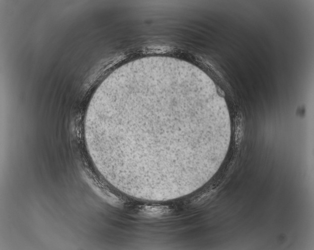 X0000114660455200912011139