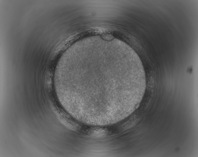 X0000114660456200912011139