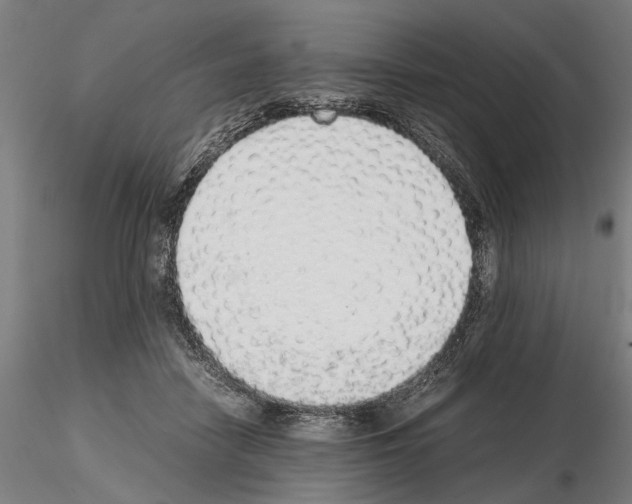 X0000114660458200912011139