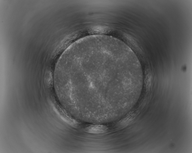 X0000114660459200912011139