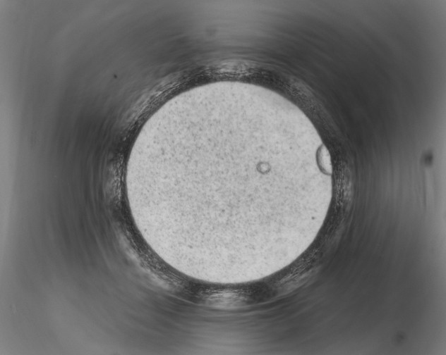 X0000114660460200912011139