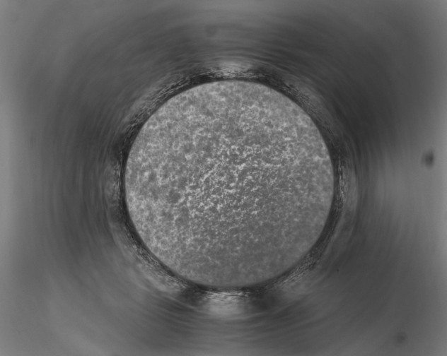 X0000114660461200912011139