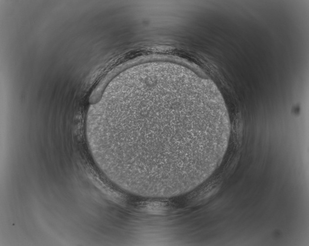 X0000114660462200912011139