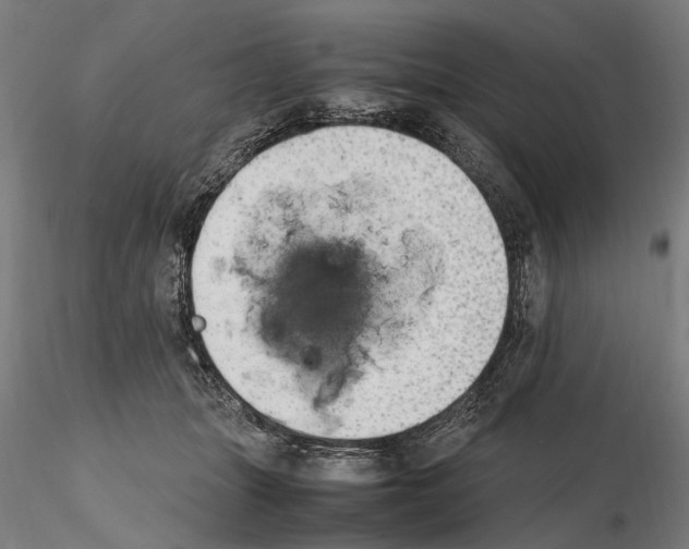 X0000114660463200912011139