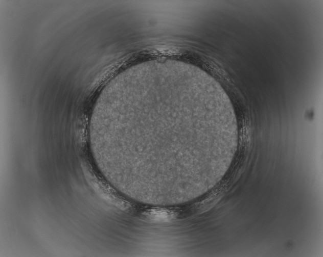 X0000114660464200912011139