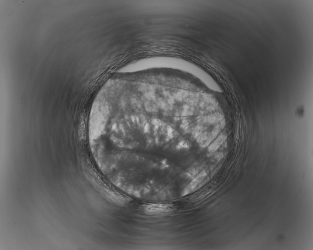 X0000114660465200912011139