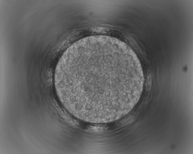 X0000114660466200912011139