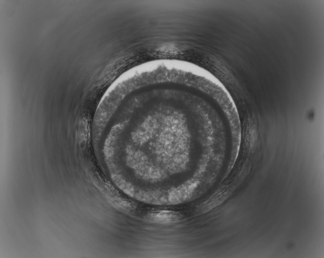 X0000114660467200912011139