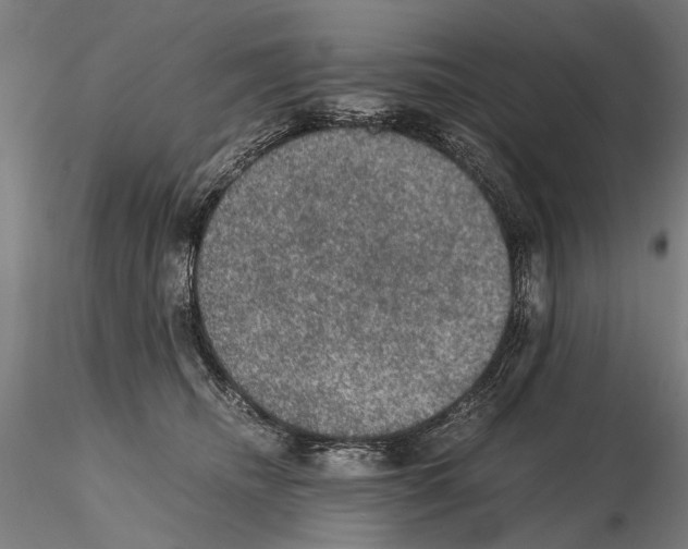 X0000114660468200912011139