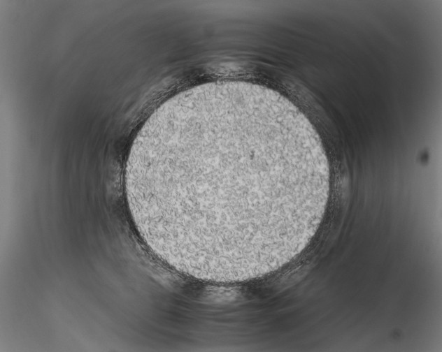 X0000114660469200912011139