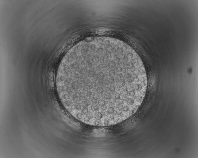 X0000114660470200912011139