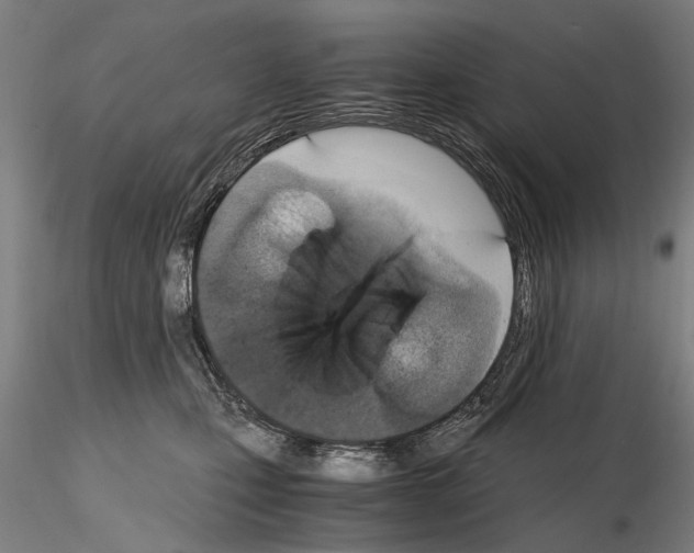 X0000114660471200912011139