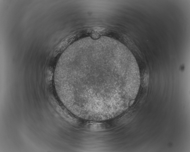 X0000114660472200912011139