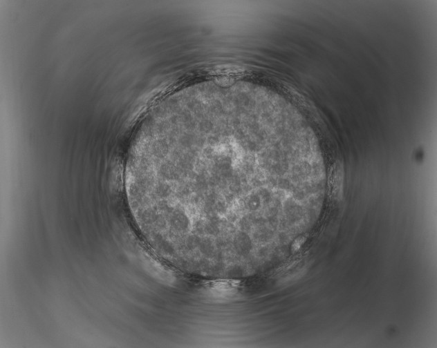 X0000114660474200912011139